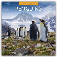 Abbildung von: Penguins - Pinguine 2026 - 16-Monatskalender - Red Robin Publishing Ltd.