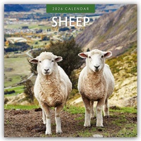 Abbildung von: Sheep - Schafe 2026 - 16-Monatskalender - Red Robin Publishing Ltd.
