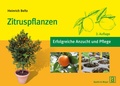 Cover: Zitruspflanzen - Quelle & Meyer