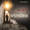 Cover: Wien steckt voller Wunder - KRAL