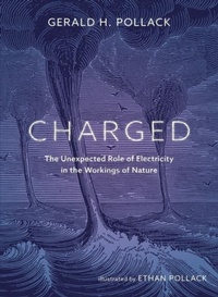 Enlarge image Cover: Charged - Ebner and Sons Publishers