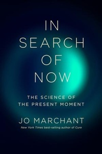 Abbildung von: In Search of Now - WW Norton & Co