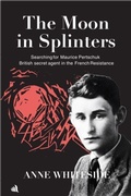 Cover: The Moon in Splinters - Chiselbury Publishing