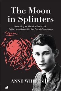 Enlarge image Cover: The Moon in Splinters - Chiselbury Publishing