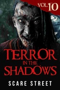 Cover: Terror in the Shadows Vol. 10 - Scare Street