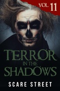 Cover: Terror in the Shadows Vol. 11 - Scare Street