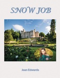 Cover: SNOW JOB - Xlibris Us