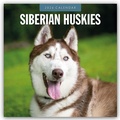 Cover: Siberian Huskies - Sibirischer Husky - Sibirische Huskys 2026 - 16-Monatskalender - Red Robin Publishing Ltd.