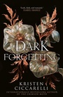 Cover: A Dark Forgetting - Magpie
