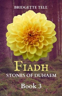 Enlarge image Cover: Fiadh: Stones of Duhaem - Bridgette Tell