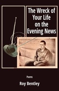 Cover: The Wreck of Your Life on the Evening News - Sheila-Na-Gig Editions