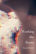 Cover: Working the Roots - Querencia Press, LLC