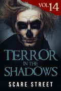 Cover: Terror in the Shadows Vol. 14 - Scare Street