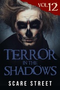 Cover: Terror in the Shadows Vol. 12 - Scare Street