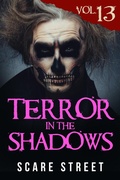 Cover: Terror in the Shadows Vol. 13 - Scare Street
