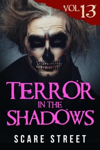 Enlarge image Cover: Terror in the Shadows Vol. 13 - Scare Street