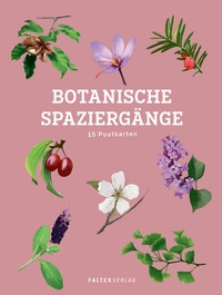 Abbildung von: Botanische Spaziergänge - Postkartenbuch - Falter Verlag