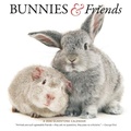 Cover: Bunnies & Friends - GSM