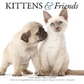 Cover: Kittens & Friends - GSM