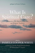 Cover: What Is Spiritual Care? - Pickwick Publications