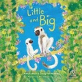 Cover: Little and Big - Recorded Books
