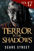 Cover: Terror in the Shadows Vol. 17 - Scare Street