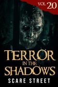 Cover: Terror in the Shadows Vol. 20 - Scare Street