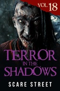 Cover: Terror in the Shadows Vol. 18 - Scare Street
