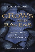 Cover: Crows and Ravens - Llewellyn Publications