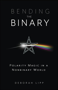 Enlarge image Cover: Bending the Binary - Llewellyn Publications