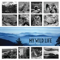 Cover: My Wild Life - Naval Institute Press