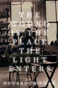 Cover: The Wound is the Place the Light Enters - Naval Institute Press