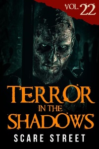 Enlarge image Cover: Terror in the Shadows Vol. 22 - Scare Street