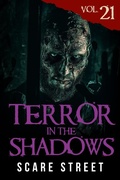 Cover: Terror in the Shadows Vol. 21 - Scare Street