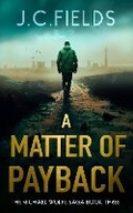 Cover: A Matter of Payback - Vinci Books