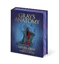 Abbildung von: Gray's Anatomy - Arcturus