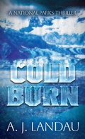 Cover: Cold Burn - Thorndike Press Large Print