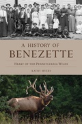 Bild: A History of Benezette - The History Press