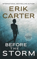 Cover: Before the Storm - Severn River Publishing