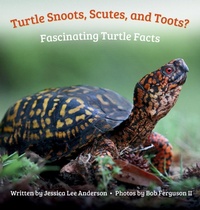 Enlarge image Cover: Turtle Snoots, Scutes, and Toots? Fascinating Turtle Facts - AO Press