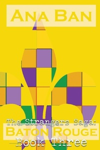 Enlarge image Cover: The Strangers Saga - Five Point Publishing