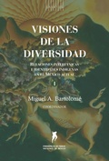 Cover: Visiones de la diversidad - Instituto Nacional de Antropolog&iacute;a e Historia
