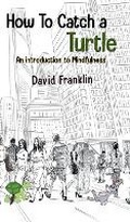 Cover: How to Catch a Turtle - Self-Publish