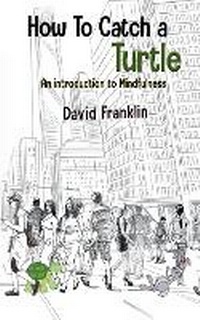 Enlarge image Cover: How to Catch a Turtle - Self-Publish