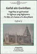 Cover: Gofal ein Gwinllan 3 - Ysgrifau ar gyfraniad Yr Eglwys yng Nghymru i'n llen a'n hanes a'n diwylliant - Y Lolfa