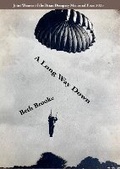 Cover: A Long Way Down - VOLE