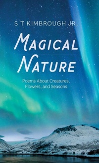 Enlarge image Cover: Magical Nature - Resource Publications (CA)