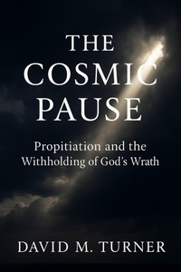 Enlarge image Cover: The Cosmic Pause - Lulu.com
