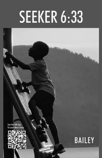 Enlarge image Cover: SEEKER 6:33 - Outskirts Press