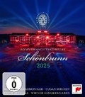 Cover: Sommernachtskonzert 2025 / Summer Night Concert 2025 - Sony Music Entertainment